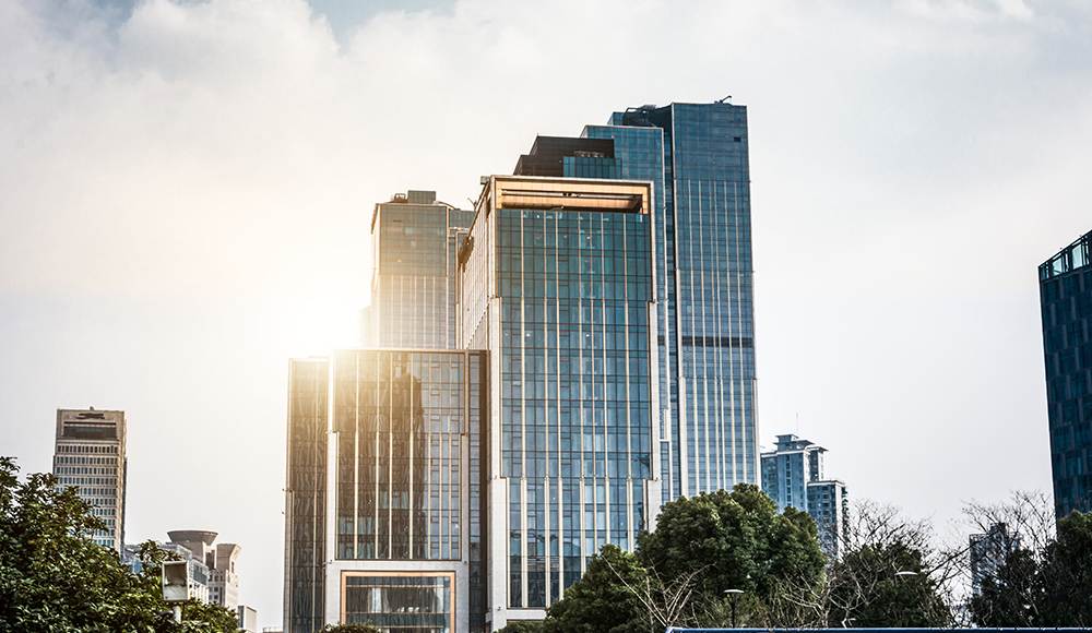 listing-10-bopin-bop-reality