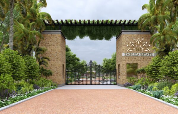 emblica-estate