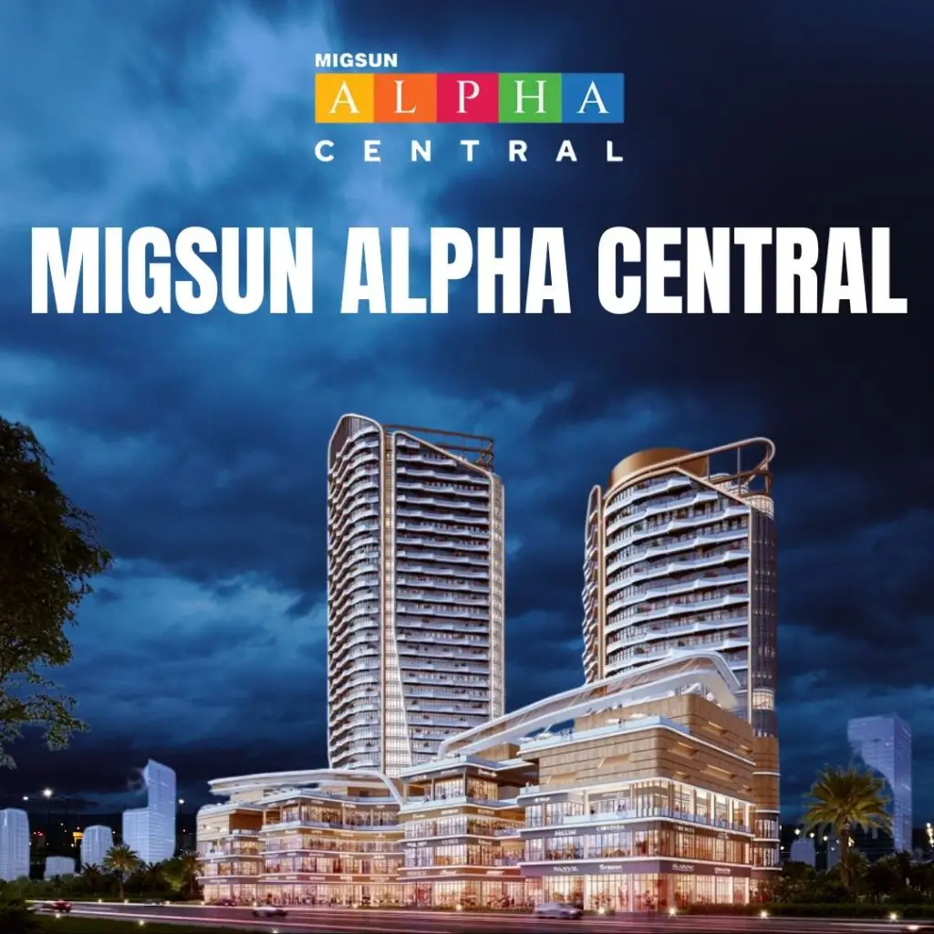 migsun-creative-bopin-bop-reality