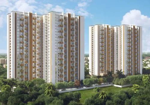 project-image-bopin-bop-reality