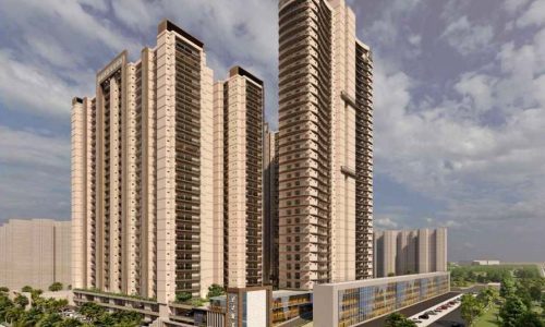 alp-bopin-bop-reality