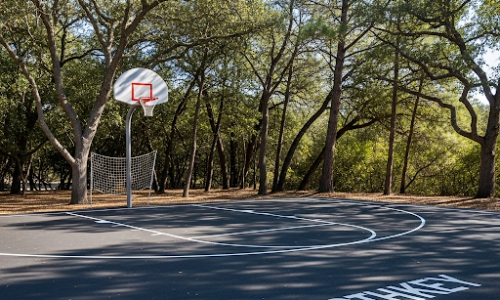 basket-ball-court-bopin-bop-reality