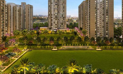 kid-ground-bopin-bop-reality